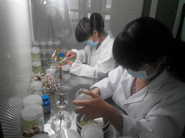 学生集训1.jpg